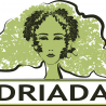 Driada